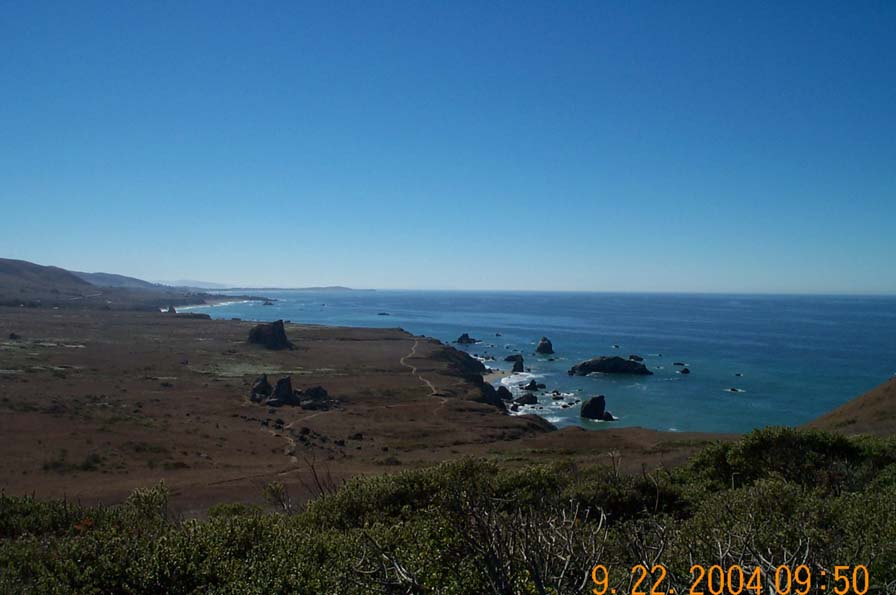Ocean terrace from Goat Rock access road. Showing Kortum Trail and Bodega Head.