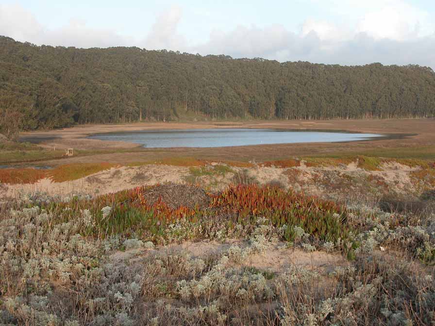 San Mateo Section 8 California Coastal Trail