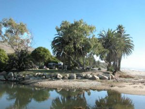 A nice oasis and palm trees cool the campgrounds on the beach.